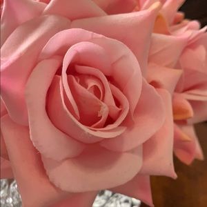 Meet your Posher, Brenda